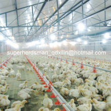 Top Quality Automatic Full Set Poultry Farm Equipment